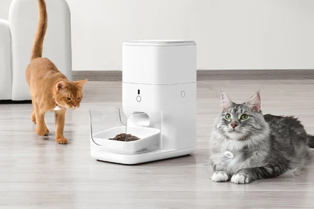 猫咪使用智能自动喂食器