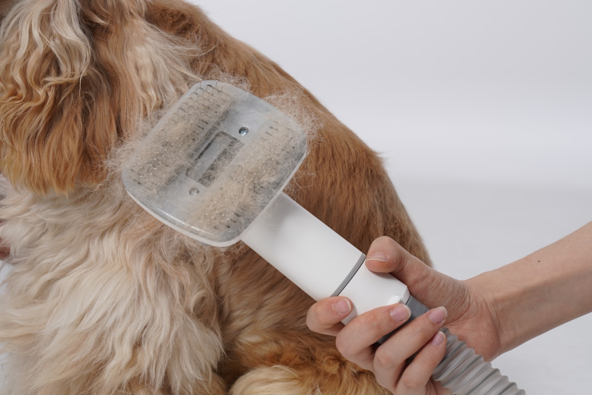 Deshedding and grooming tool used on a pet