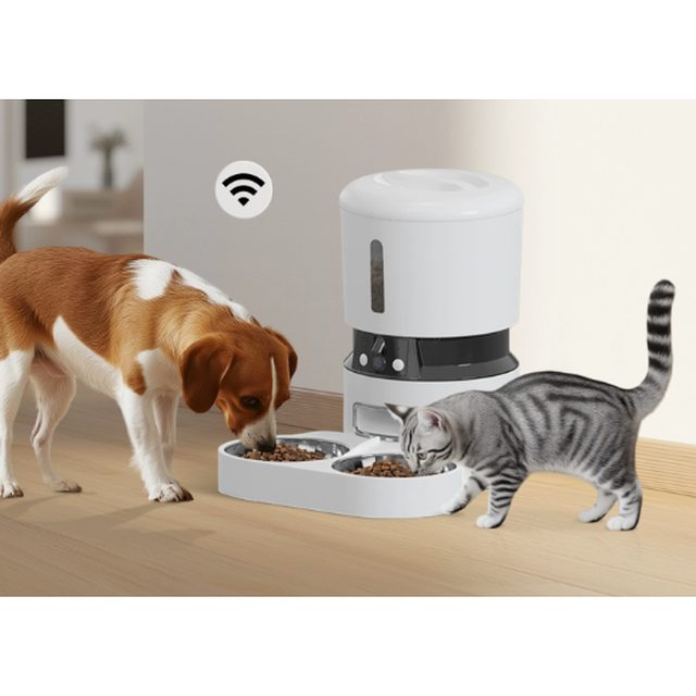 Wi-Fi кормушка PT06W